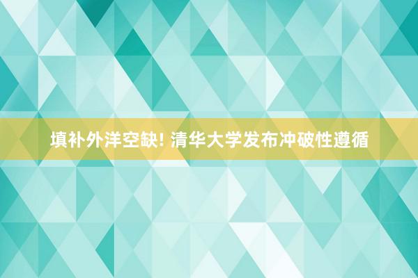 填补外洋空缺! 清华大学发布冲破性遵循